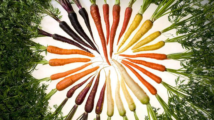 History of Carrots